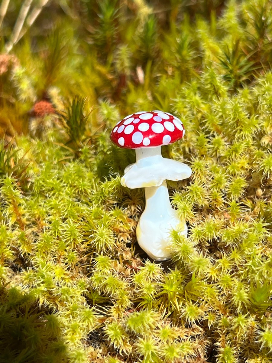 Image of Mini Amanita Mushroom Plant Spike