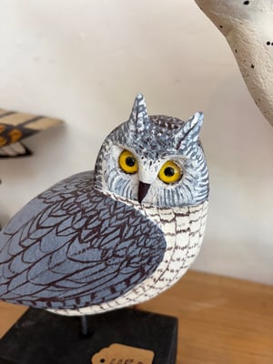 Image of Small Grey horned owl 