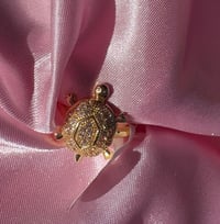 Turtle 