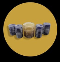 Premium LMEY Agar Plates 