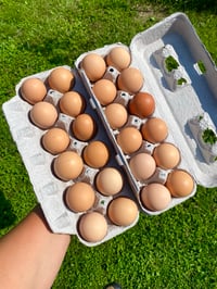 Image 1 of Two Farm Dozen | Low-PUFA 