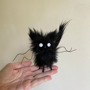 Image of Oopsy Kitty in Black