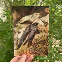 Image 2 of common swift print
