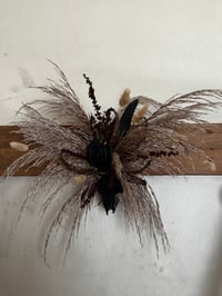 Image 1 of Wild Flower Goat Skull