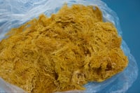 Raw Seamoss Wholesale