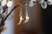 Image 1 of Orecchini -Artiglio di Volpe-