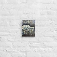 Image 2 of Albino Alligator Canvas