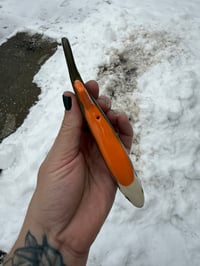 Image 4 of Brook Trout