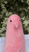 Sweetiebird Plush