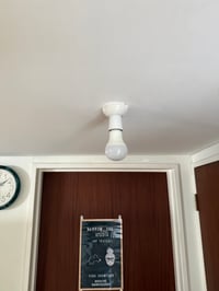 Image 5 of Playing Whippets Lampshade 30cm