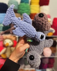 Image 3 of Hunter the Hammerhead