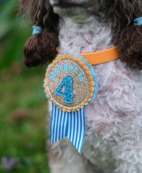 Image 6 of Pet Birthday badges