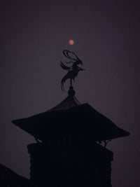 Witching Season is Here