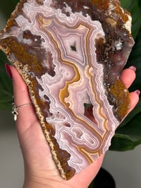 Image 2 of AGUA NUEVA AGATE SLAB B