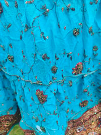 Image 4 of Boho sari beach skirt - Turquoise jewel