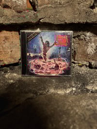 Image 1 of CD Morta Skuld «Dying Remains/As Humanity Fades» 