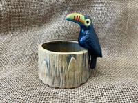 Image 1 of Toucan Stump