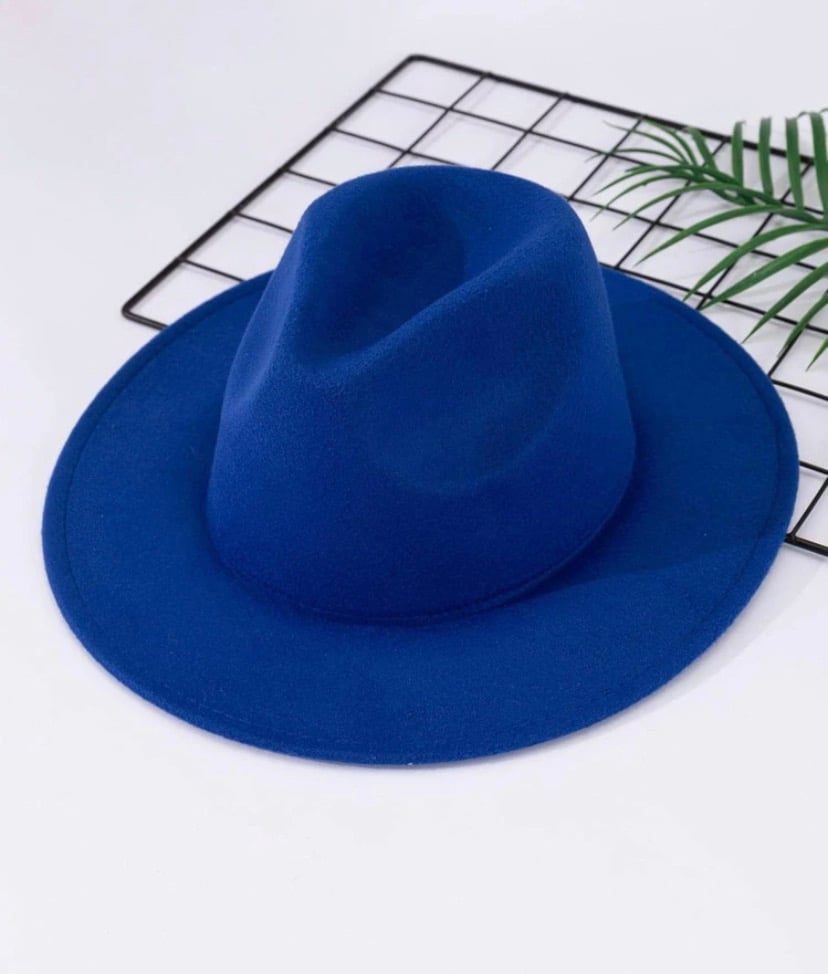 Image of “Fedora Hats”