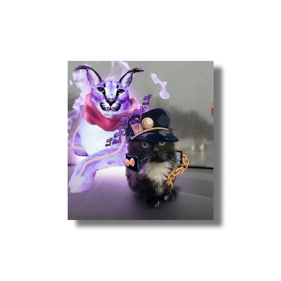 Image of Memers PREORDER