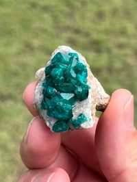 Image 7 of Dioptase Specimen | Congo #3011