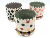 Image 5 of Polka Dot Planters 