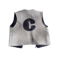 Image 4 of GREY STRIPED