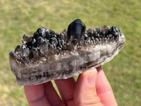 Image 8 of Smoky Quartz Crystal Points Cluster | Brazil #2971
