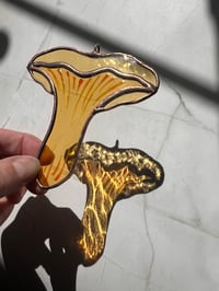 Image 3 of Chantrelle Mushroom suncatcher