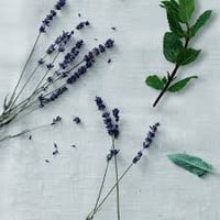Image 1 of White Lavender 