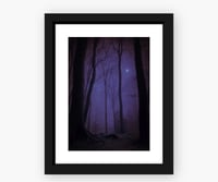 Medium Framed ‘Wolf Moon’ Print