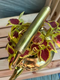 Image 2 of Coleus in Gold Kettle 