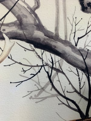 Image of Dodo Samurai