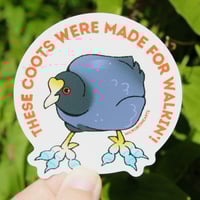 Image 3 of Coot Feet 3” Sticker