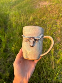 Image 1 of Smokey longhorn