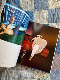 Image 6 of LA Babe: The Real Women of Los Angeles 1975-1988, Moshe Brakha, 2017.