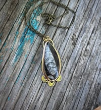 Image 5 of Orthoceras necklace 