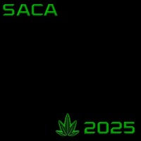 Image 1 of 2001 BLIP