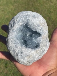 Image 2 of Celestite Geode #1951
