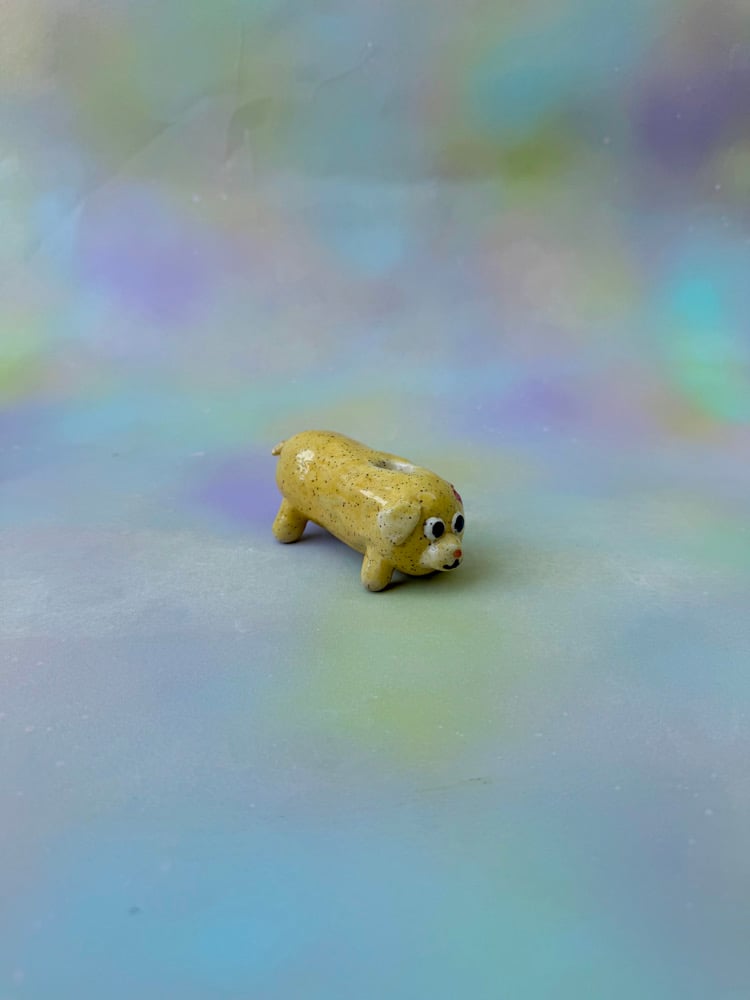Image of optimistic puppy pipe