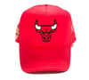 Chicago Bulls Art of Fame /MCM Genuine Leather Bogo Cap 