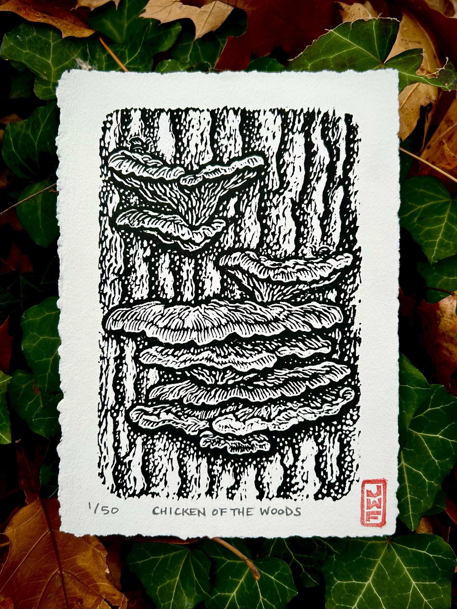 Image of The Fungus Among Us: Monthly Mushroom series