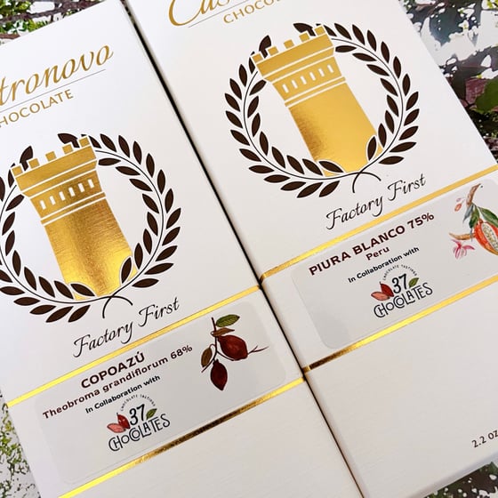 Image of Online Chocolate Tasting Benefitting Amazon Conservation Team - Sunday, October 12, at 1 pm ET