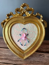 Image 1 of Jewel Spider 