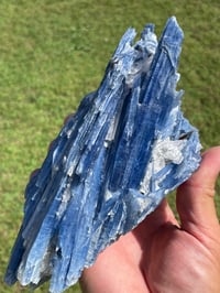 Image 13 of Blue Kyanite In Quartz Specimen #1783