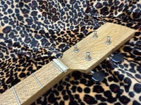 Image 5 of Boggart Mountain Banjo