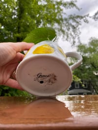 Image 2 of Golden Pothos in Lemon Creamer