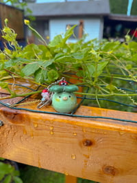 Image 2 of Lady bug & friends 