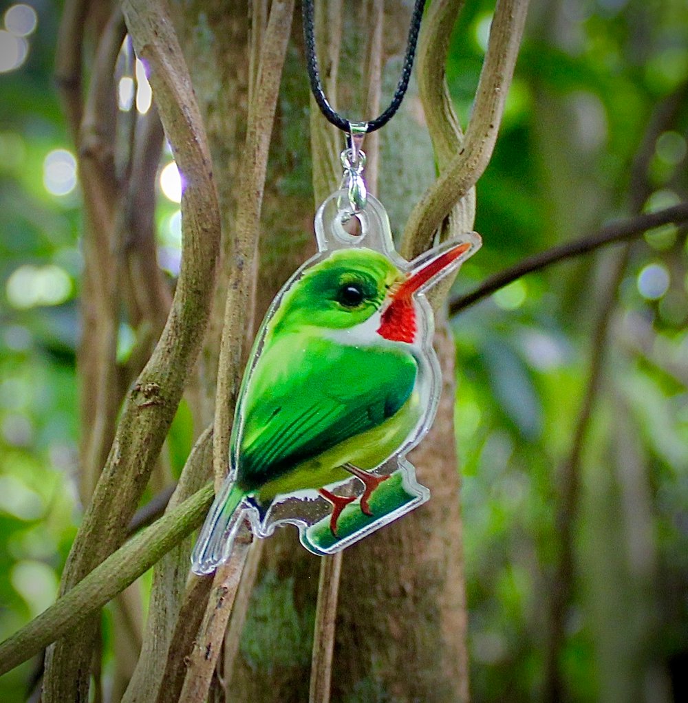 San Pedrito Necklace | Puerto Rican Tody 