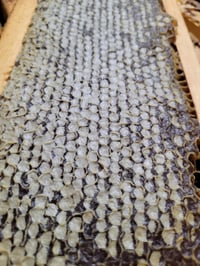 Image 4 of 100% Natural Raw Honey | Spring Harvest Now Available