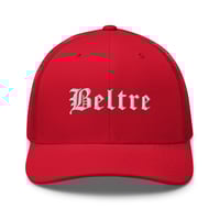 Image 4 of Embroidered Trucker Cap